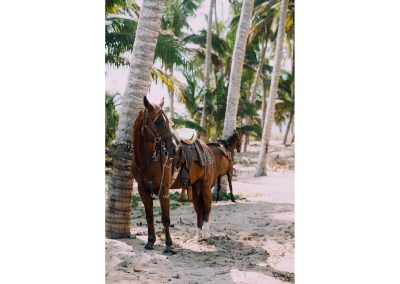 Mit Pferden an dem fünf Kilometer langen Strand entlang reiten.