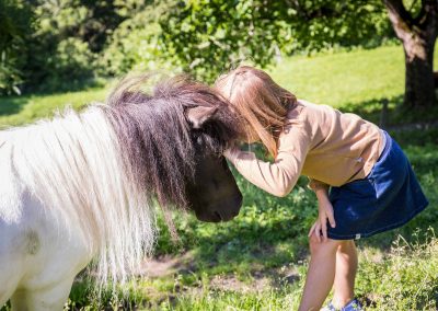 Taxhof Tiere